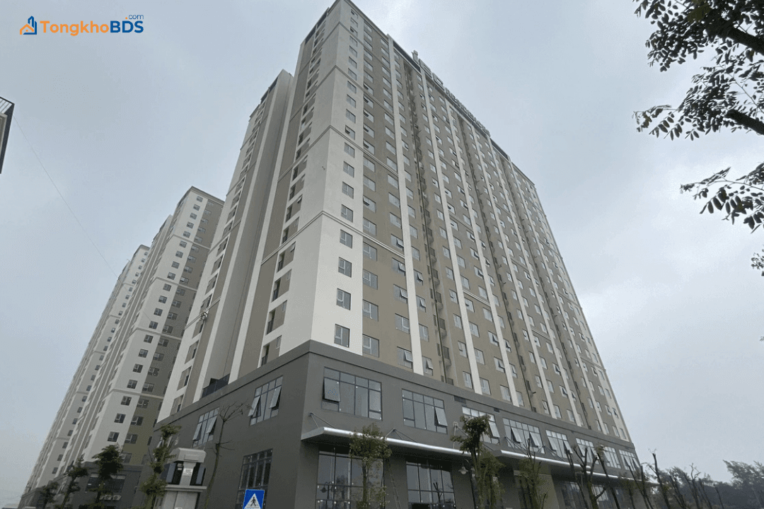 Hà Nội chỉ đạo kiểm tra dấu hiệu trục lợi tại dự án nhà ở xã hội IEC