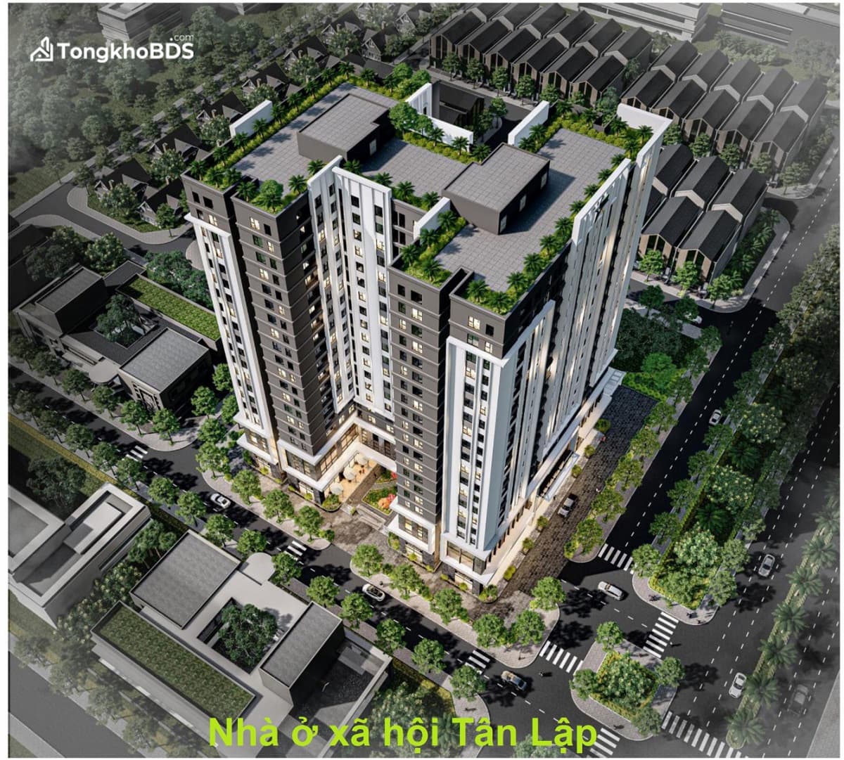NOXH Tân Lập