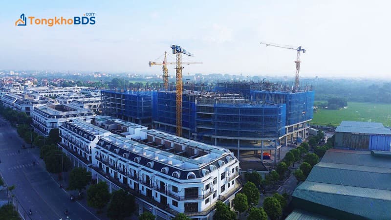 Nhà ở xã hội Calyx Residence